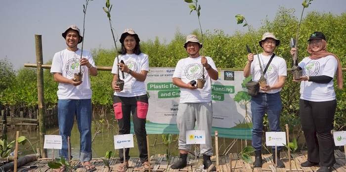 Peringati Hari Mangrove Sedunia, PLN Tanam 1.000 Mangrove Bebas Plastik di Surabaya