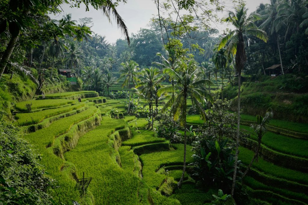 Menginap di Ayana Resort Bali