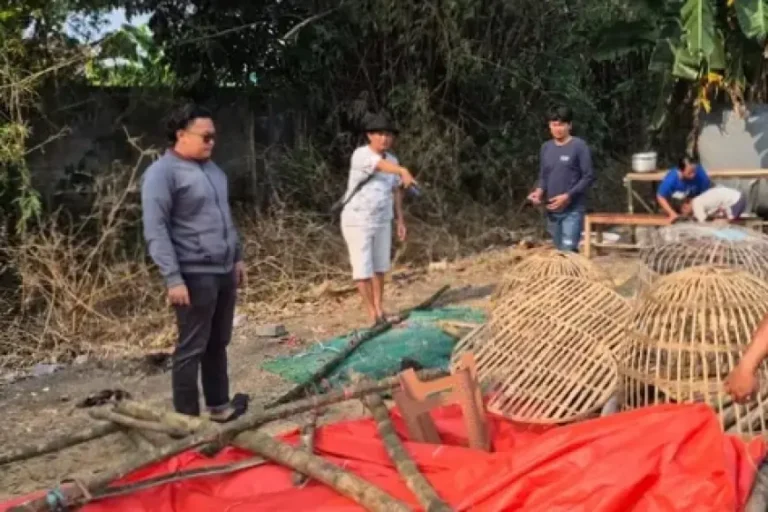 Arena Judi Sabung Ayam di Mojokerto Dibongkar Polisi, Lima Orang Digulung