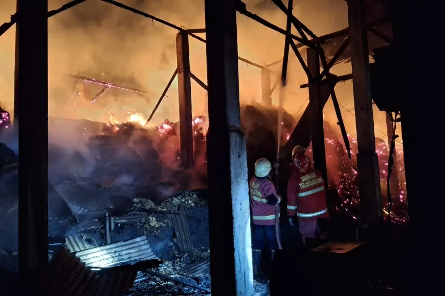 Tempat Penggilingan Tebu di Sumbergempol Tulungagung Terbakar, Gudang Ludes Dilalap Api