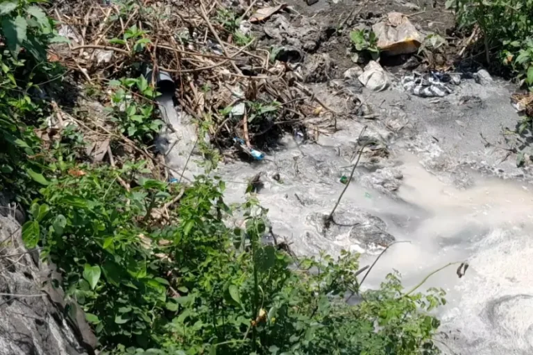 Bau Busuk Diduga Limbah Pengolahan Pentol Dikeluhkan Warga Kertosono Nganjuk