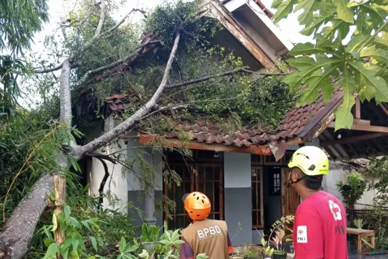 Angin Kencang Melanda Gondanglegi Malang: Sejumlah Pohon Tumbang, Empat Rumah Warga Rusak