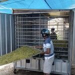 Inovasi mahasiswa Unej "DryToba" percepat pengeringan tembakau