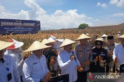 Kemen Imipas dukung ketahanan pangan lewat panen jagung di Sidoarjo