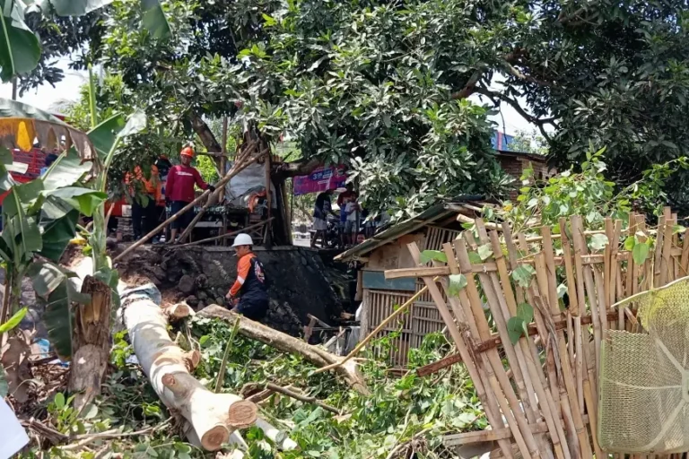Tujuh Rumah Warga di Blitar Rusak, Dampak Hujan Deras Disertai Angin Kencang