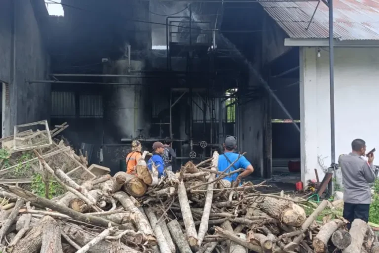 Memulai Produksi Perdana, Mesin Boiler Pabrik Triplek di Blitar Terbakar