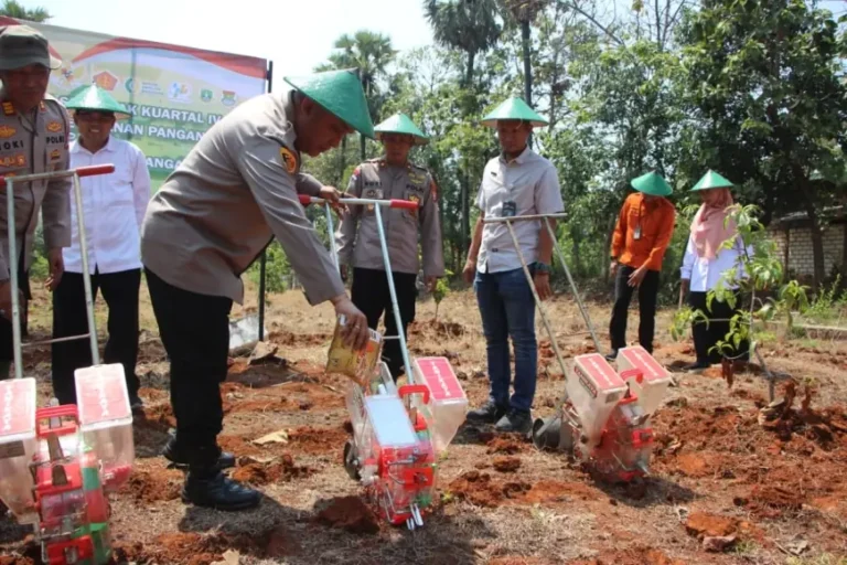 Polres Tuban Tanam Jagung Serentak, Dukung Swasembada Pangan Nasional