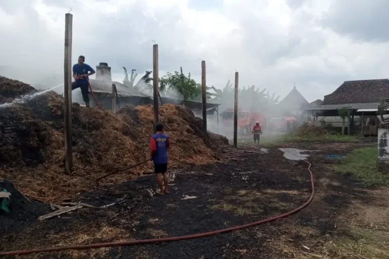 Tempat Produksi Gula Tebu Tradisional di Tulungagung Terbakar, Diduga akibat Api Sampah Merembet