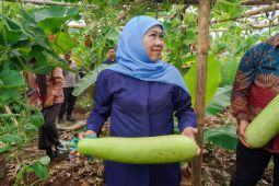 Khofifah apresiasi SMAN 1 Dampit teladan dalam ketahanan pangan