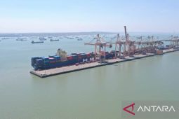 Arus peti kemas internasional tumbuh 8,5 persen