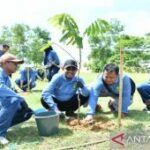 Pemkab Sumenep gandeng Medco Energi perluas ruang terbuka hijau