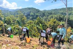 Pemkab Madiun tanam ribuan bibit pohon demi cegah bencana alam