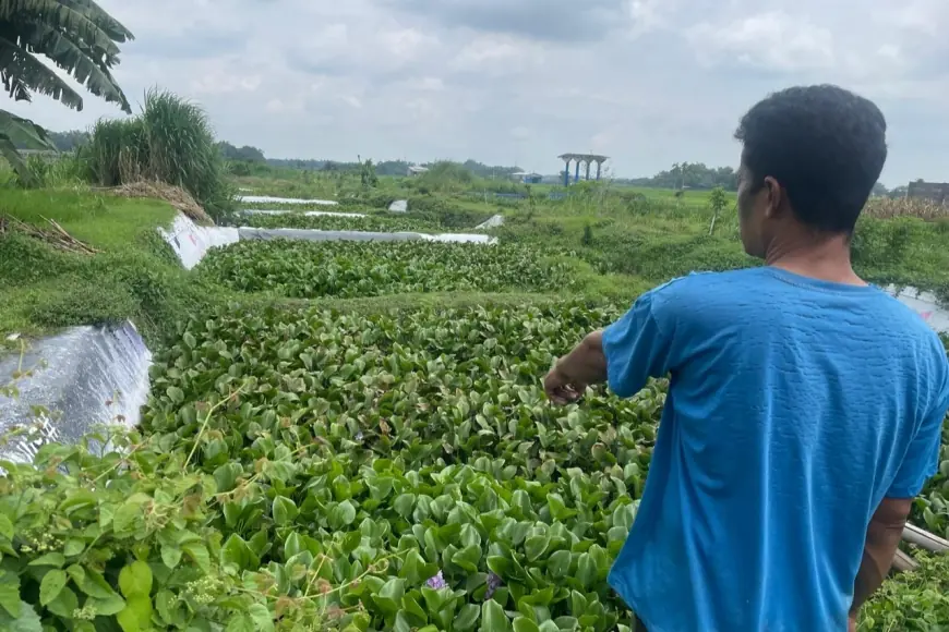 Proyek IPAL Tahu di Jombang Terancam Gagal, Srobot Lahan Warga hingga Telan Korban Jiwa
