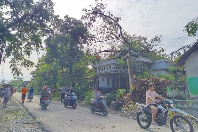 Warga Diminta Waspadai Cuaca Ekstrem, Angin Kencang Rusak Rumah Warga di Ponggok Blitar
