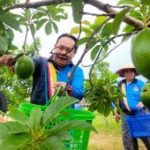 Persatuan Persahabatan Brudifa jajaki kerja sama di Situbondo
