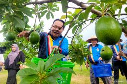 Persatuan Persahabatan Brudifa jajaki kerja sama di Situbondo