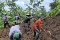 Warga Situbondo dan TNI gotong royong buka akses ke  perkebunan
