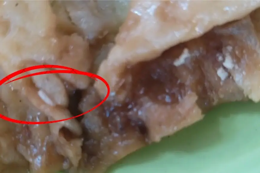 Dinkes Probolinggo Audit Kelayakan 67 SPPG Pasca&Temuan Ulat di Paiton