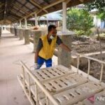 Menkes: Butuh Rp529,3M untuk perbaiki ribuan faskes di Sumatera