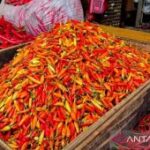 BI Malang ingatkan pemkot intensif pantau stok cabai rawit