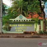 Dinkes Sidoarjo: Kasus DBD periode musim hujan 2026 rendah