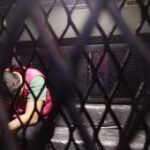 Kejari Ponorogo tangkap buronan kredit fiktif bank nasional