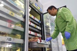 Stok darah PMI Jember aman sepanjang libur Lebaran 2026