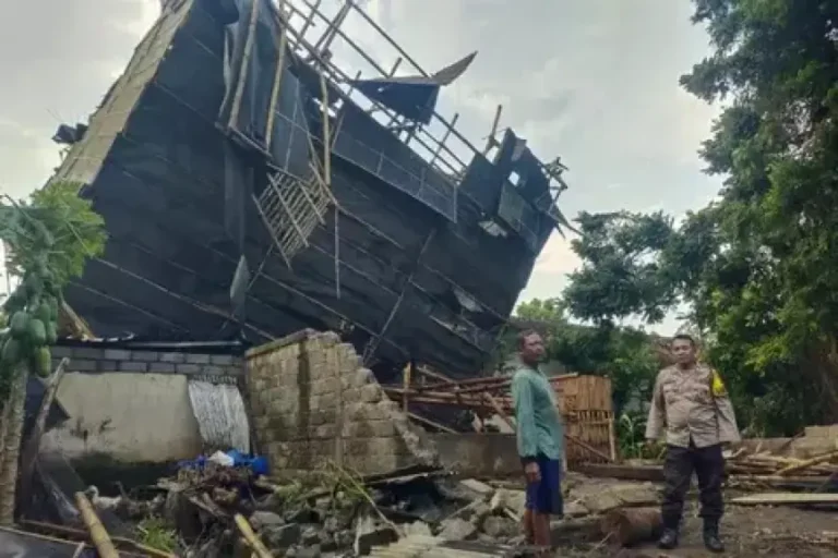 Angin Kencang Terjang Jember, 4 Sekolah Rusak dan 15 Gudang Tembakau Roboh