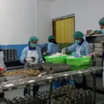 Program MBG Dihentikan Sementara Selama Libur Lebaran, Negara Hemat Rp5 Triliun