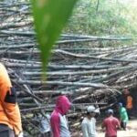 BPBD dan DPUPR Madiun bersihkan tumpukan bambu hambat aliran sungai