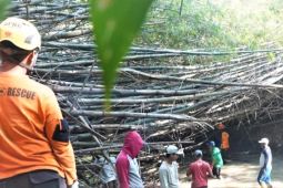 BPBD dan DPUPR Madiun bersihkan tumpukan bambu hambat aliran sungai