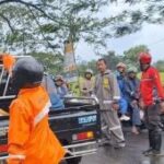Pohon tumbang di Magetan sebabkan seorang tewas dan dua lainnya luka
