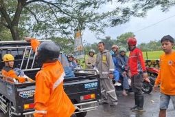 Pohon tumbang di Magetan sebabkan seorang tewas dan dua lainnya luka