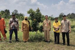 DKPP Bojonegoro dorong produktivitas petani alpukat