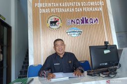 Disnakan Bojonegoro cek kesehatan hewan kurban jelang Idul Adha