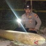 Polres Sumenep datangkan tim gegana deteksi temuan benda mirip torpedo