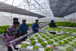 Pemkab Sumenep sediakan penyertaan modal dukung sektor pertanian