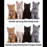 Peneliti Unej kembangkan metode deteksi pemalsuan gambar digital