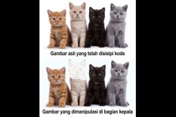 Peneliti Unej kembangkan metode deteksi pemalsuan gambar digital