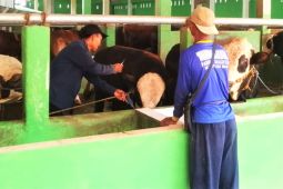 Disnakan Magetan sediakan layanan pusat panggilan untuk vaksinasi PMK