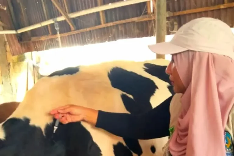 Waspada Zoonosis, Pemkot Batu Perkuat Pertahanan Pangan dari Kesehatan Ternak