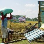 Sektor pertanian-kehutanan sumbang PDRB Madiun Rp27,48 M pada 2025