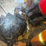 Damkar Kota Malang ungkap pemicu kebakaran ruang praktikum Polinema