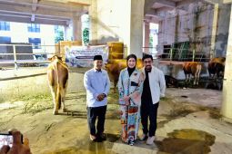 DPW Partai NasDem Jatim salurkan kurban untuk organisasi kemasyarakatan