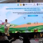 Kemenko Perekonomian dorong sinergi kendalikan inflasi
