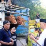 Pemkab Situbondo tata ulang pasar hewan untuk kenyamanan pedagang