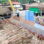 PG Assembagoes Situbondo target giling tebu 540.670 ton tahun ini