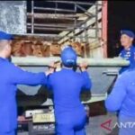 Polres Situbondo perketat lalu lintas hewan ternak jelang Idul Adha