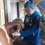 DKPP Kota Madiun perketat pengawasan aktivitas jual beli hewan kurban