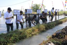 Produksi padi Ngawi triwulan pertama 2026 capai 195.620 ton GKG